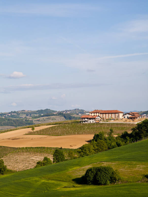 il monferrato